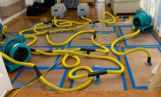 Professional Flood Damage Restoration technician working in Westborough, MA